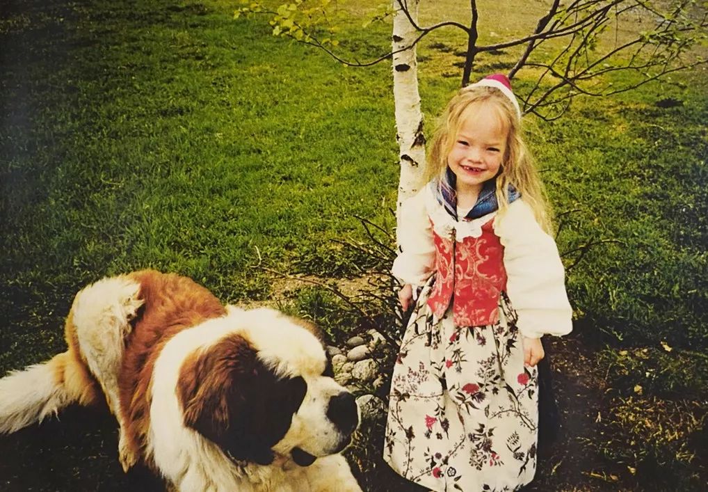 挪威缩影是个旅游团吗,不同人眼中的挪威