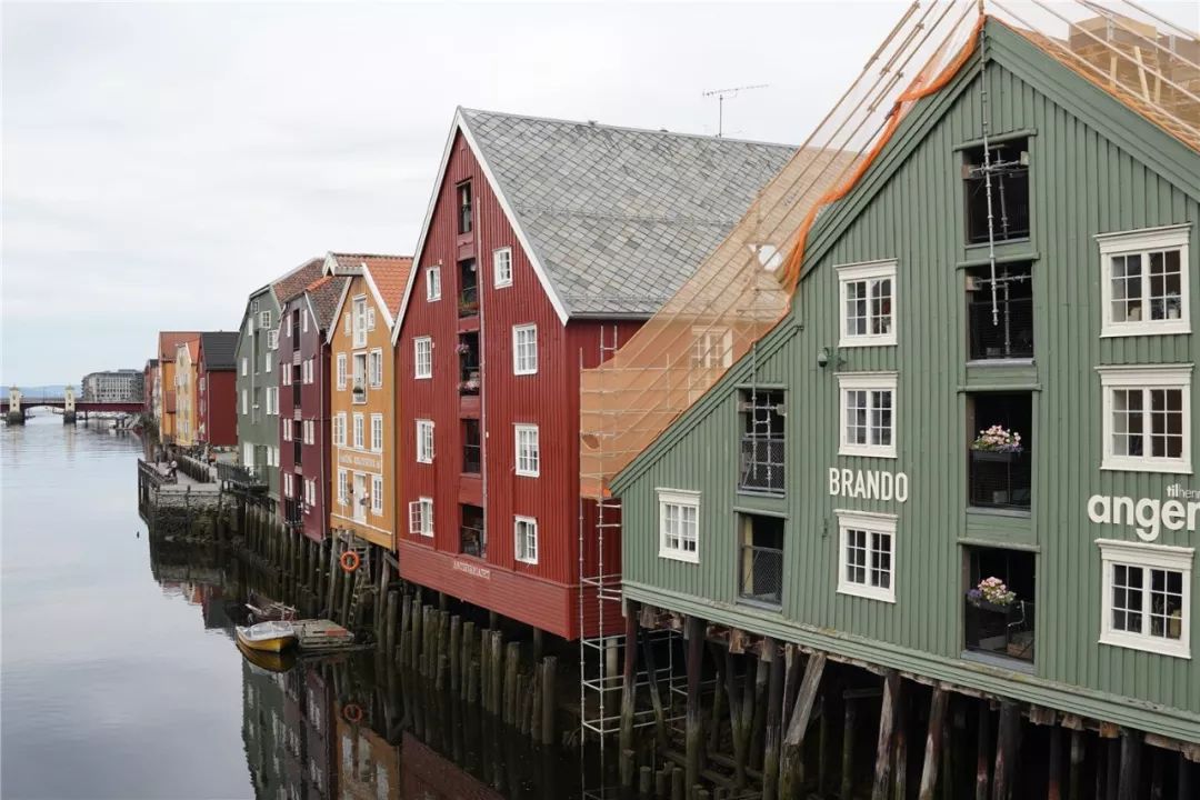 挪威缩影是个旅游团吗,不同人眼中的挪威
