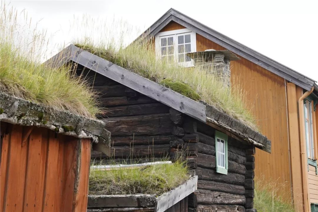 挪威缩影是个旅游团吗,不同人眼中的挪威