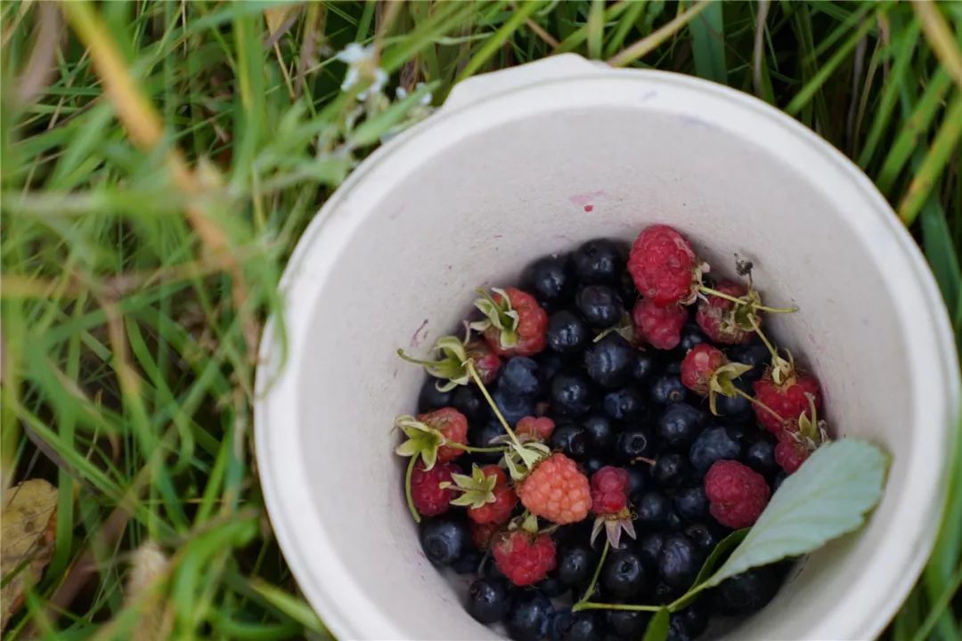 挪威缩影是个旅游团吗,不同人眼中的挪威