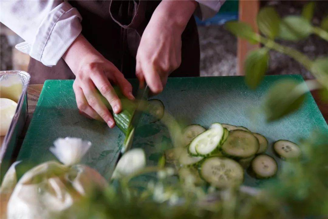 挪威缩影是个旅游团吗,不同人眼中的挪威