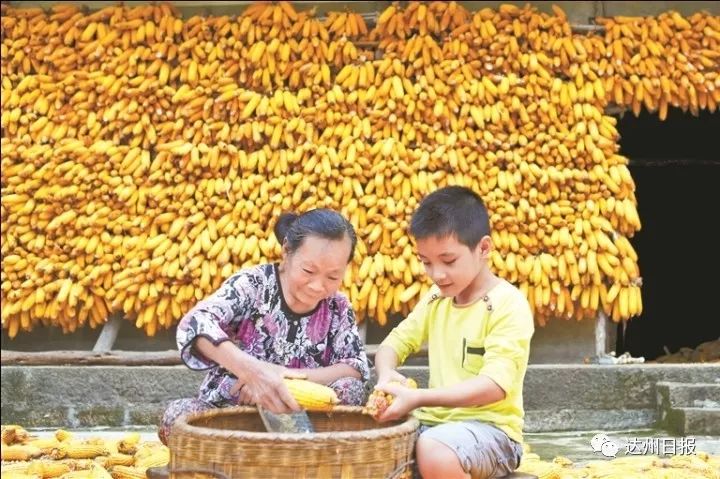 看乡村蝶变揽通川美景,惊艳的田野风光