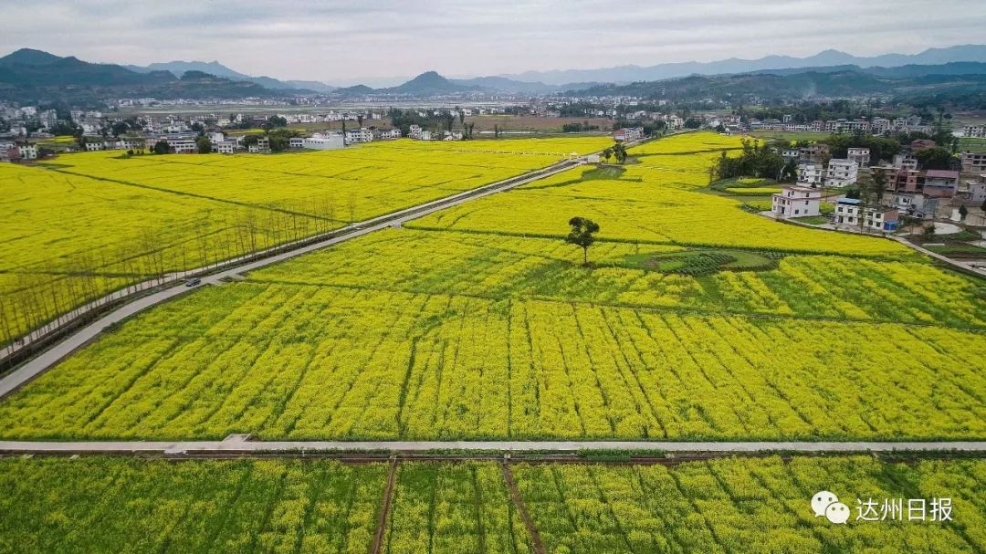 看乡村蝶变揽通川美景,惊艳的田野风光