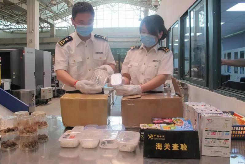 邮寄月饼到国外要注意什么,跨境邮寄月饼需要注意哪些