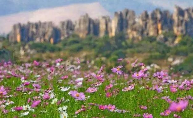 徐州地铁三号线沿途有什么好风景,徐州地铁2号线有哪些景区