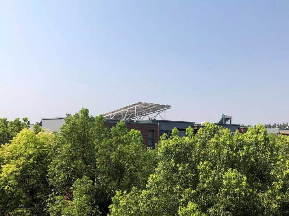 光伏屋顶违建被拆除,屋顶光伏遭拆