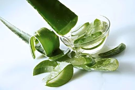 如何提高免疫力补充维生素,如何提高免疫力老年人