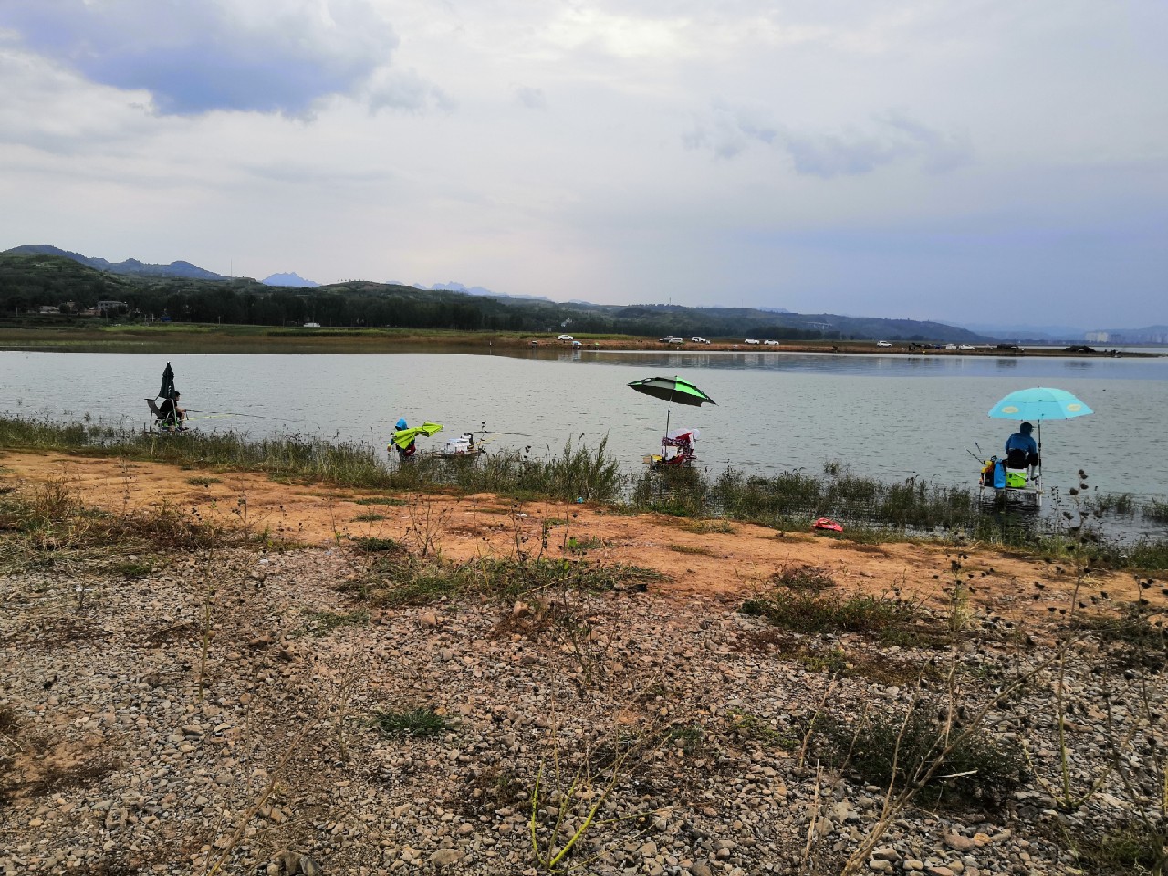 手里的竿水里的鱼,还有捡垃圾的真钓鱼人