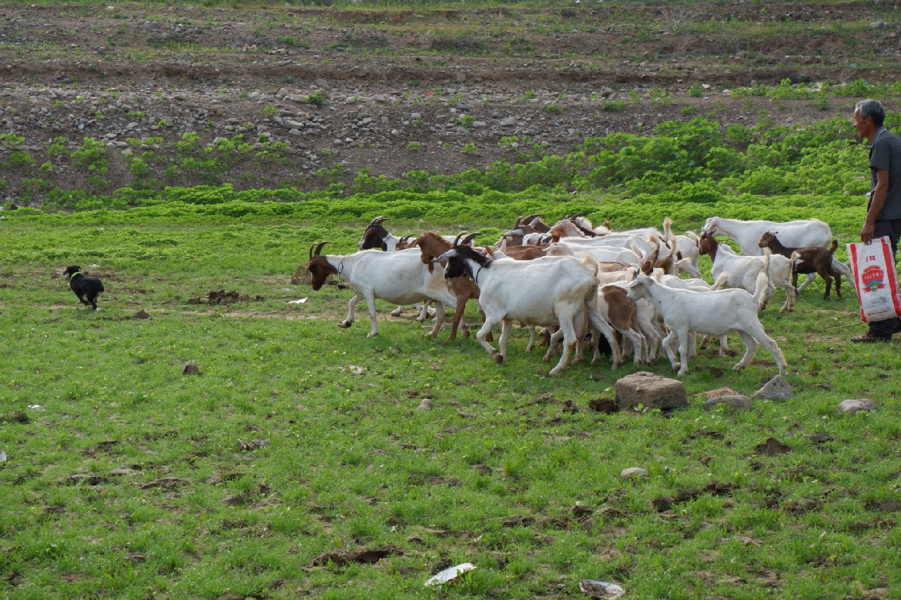 手里的竿水里的鱼,还有捡垃圾的真钓鱼人