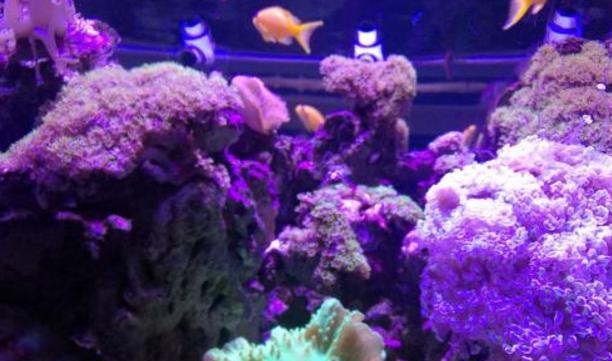 郑州适合情侣好玩的室内游乐场,郑州附近适合情侣约会的地方