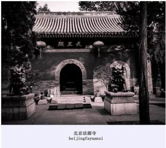 实惠的素菜馆,北平食府什么菜好吃