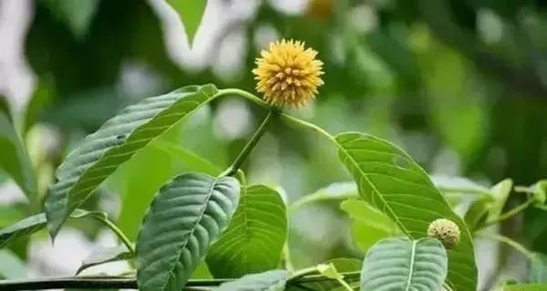 央视曝光这种饮料有剧毒,警惕新型骗局矿泉水