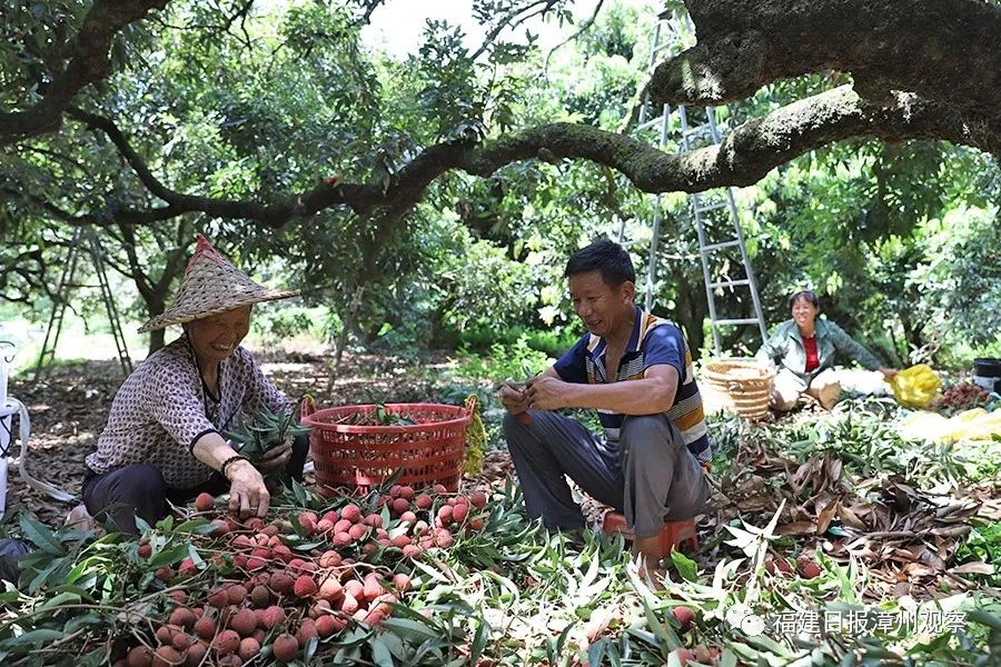 想做农村电商物流怎么办,乡村物流电商创业