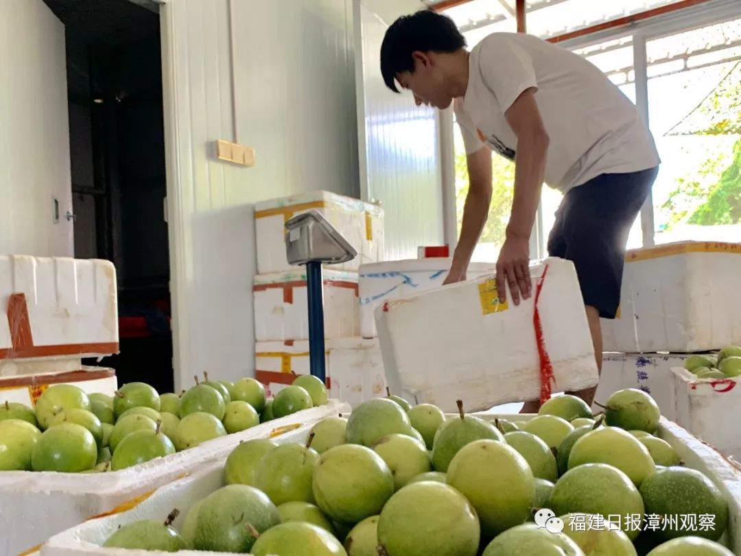 想做农村电商物流怎么办,乡村物流电商创业