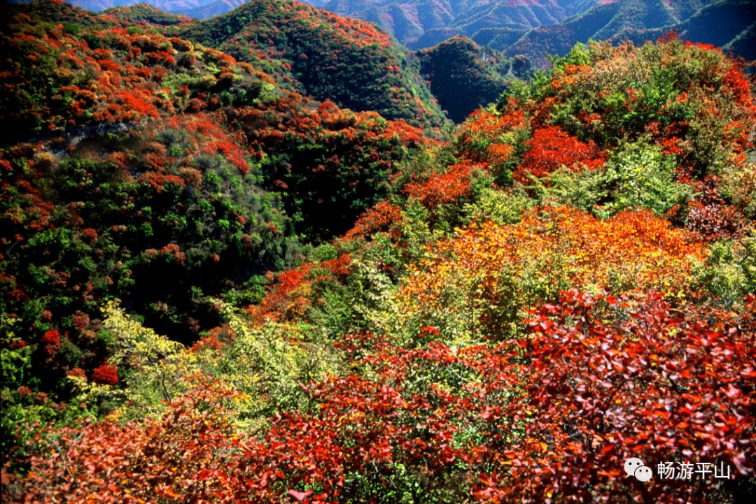 「946·玩乐」中秋石家庄及周边，吃喝玩乐全导航，来了