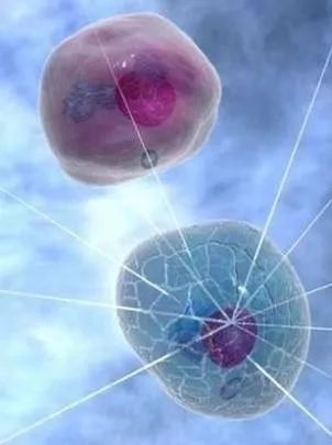 今日科技话题：二次再热发电技术、强直性脊柱炎新药研究、海洋生物要素在线监测、“地球大氧化”、自闭症诊断、体细胞突变