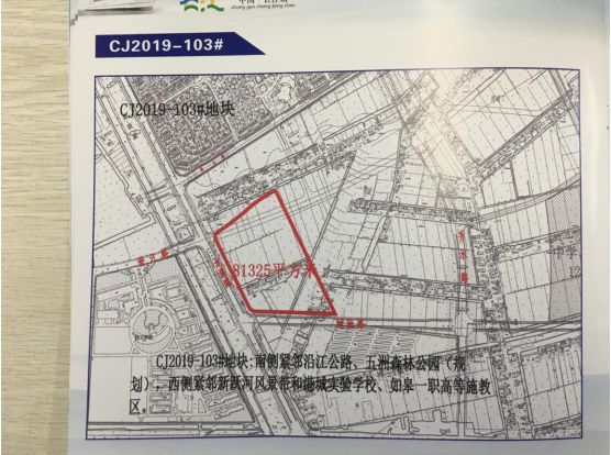 未来价值高地！长江边上这个镇“火”了，8幅优质地块即将挂牌出让