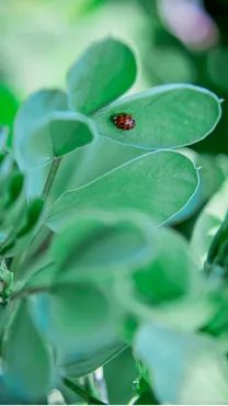夏天夏天悄悄过去,留下……东大夏末定制“特饮”!