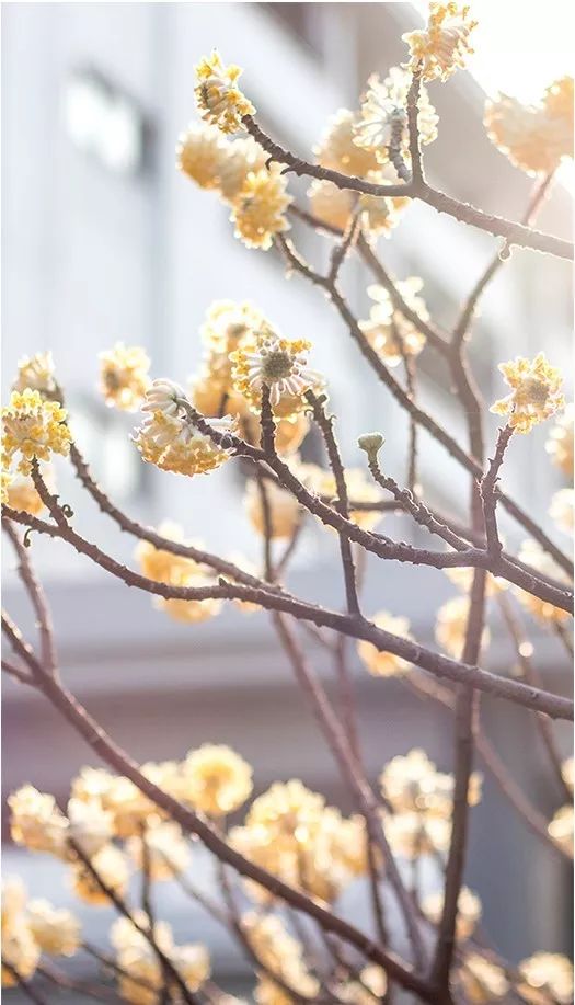 夏天夏天悄悄过去,留下……东大夏末定制“特饮”!