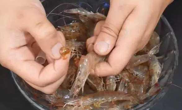 用吸管怎么清理虾线和虾脑,去虾线最简单的小诀窍