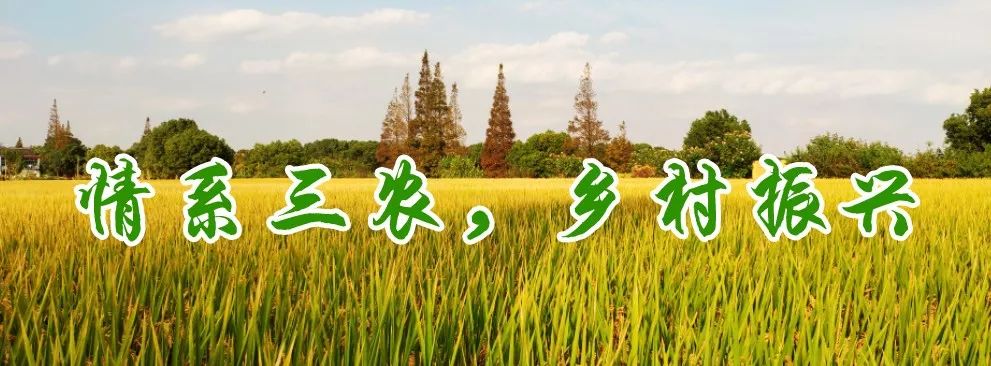 2020年永修县夏粮收购,夏粮收购双向锁定举措