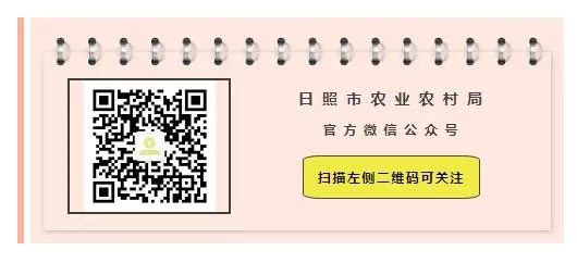 2020年永修县夏粮收购,夏粮收购双向锁定举措