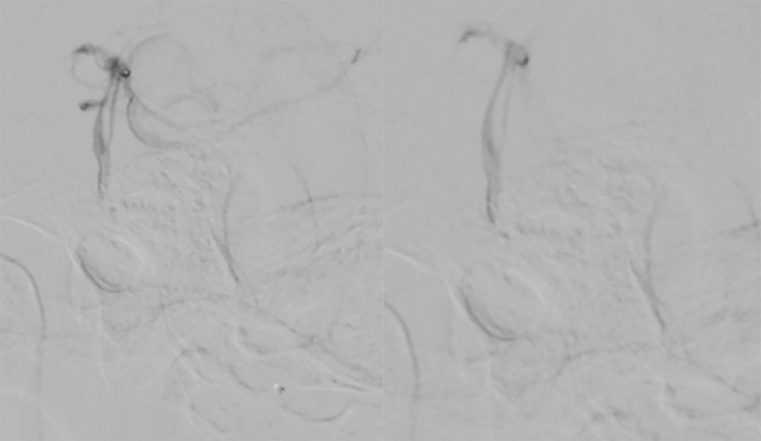 穆如清风的完结作品,穆如清风最新视频
