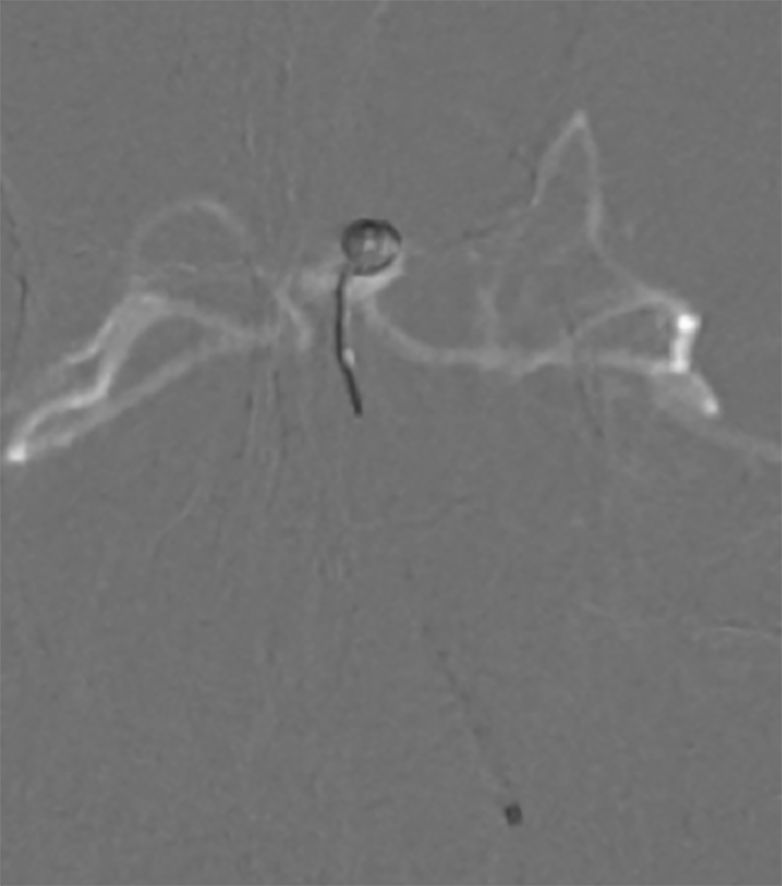 穆如清风的完结作品,穆如清风最新视频