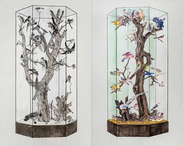 艺术家的画品,艺术家的收藏品