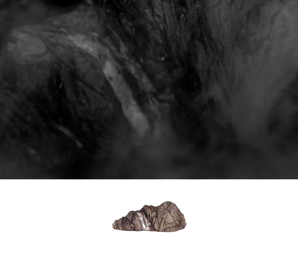 艺术家的画品,艺术家的收藏品