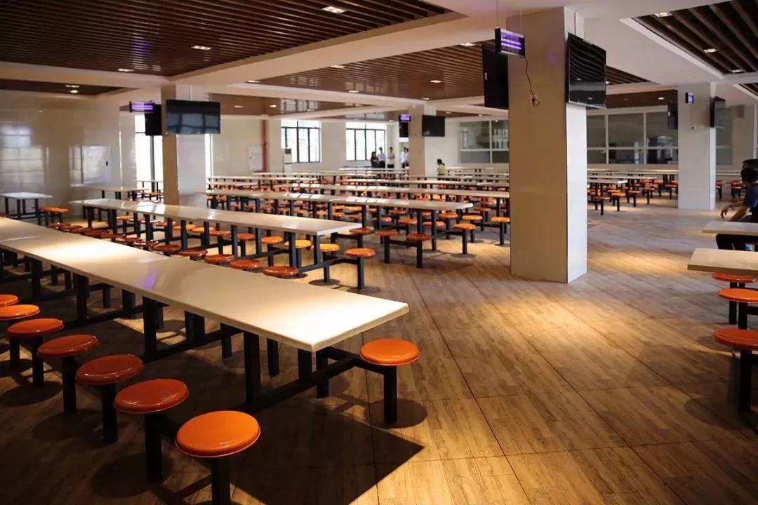 沙坪坝义务教育学校,沙坪坝小学新学校