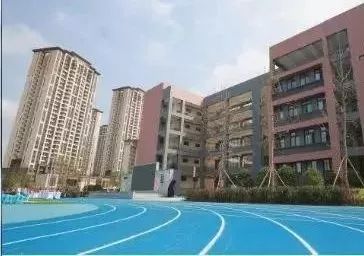 沙坪坝义务教育学校,沙坪坝小学新学校