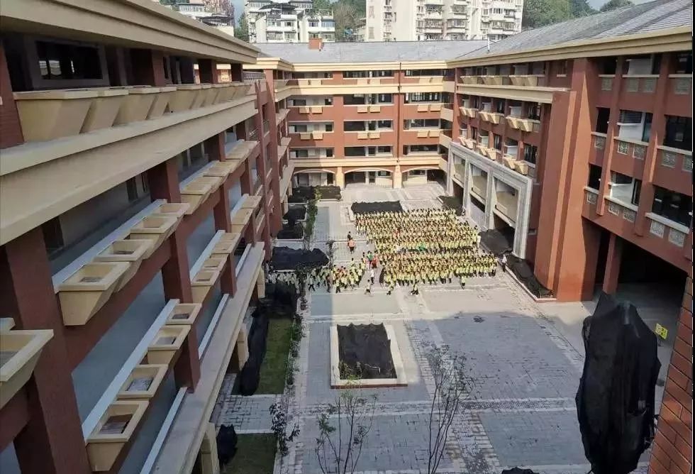 沙坪坝义务教育学校,沙坪坝小学新学校