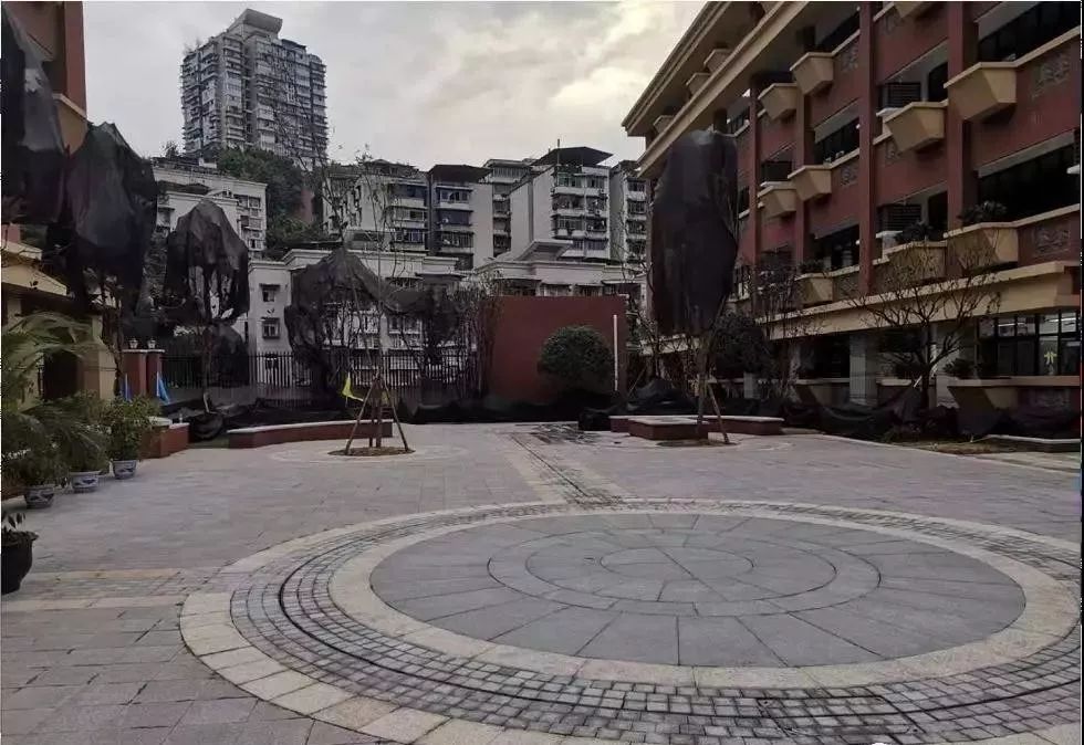 沙坪坝义务教育学校,沙坪坝小学新学校