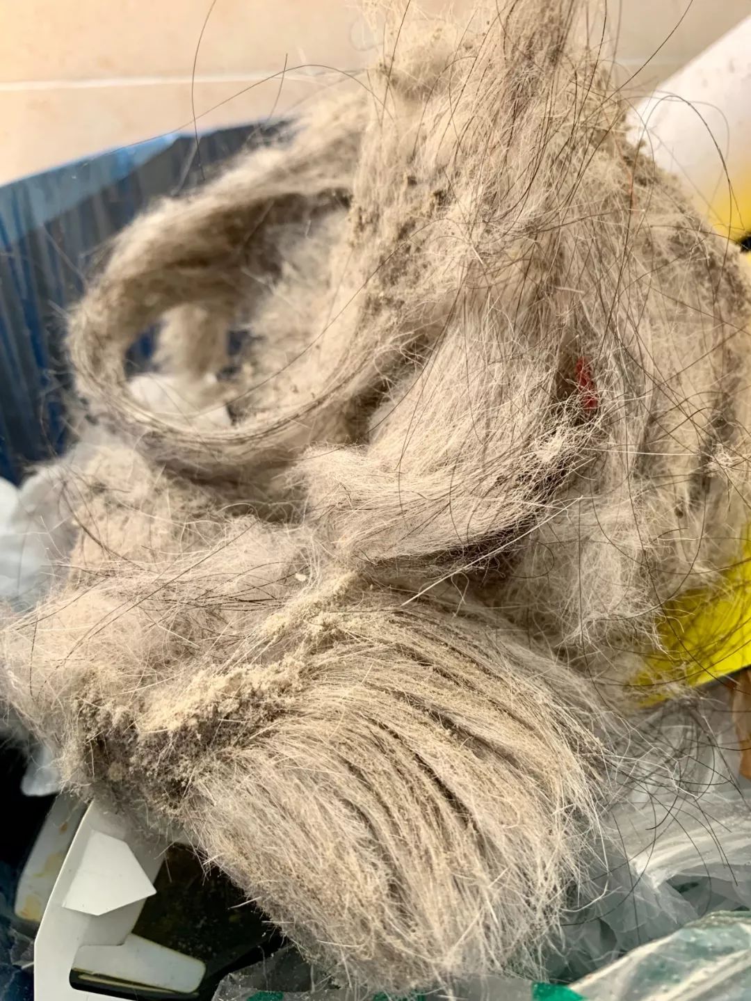 八月爱用好物,夏天爱用小物推荐