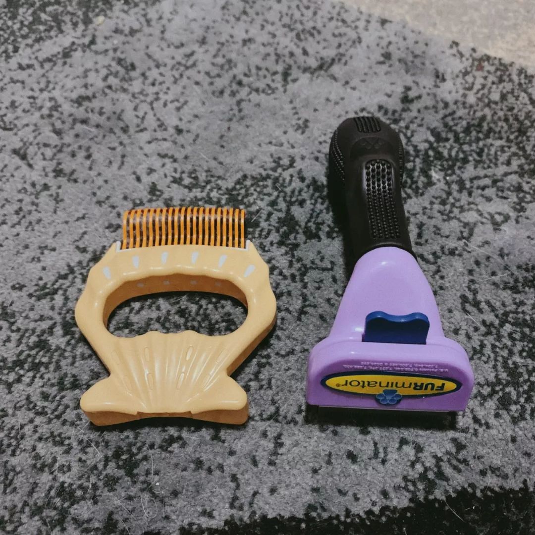 八月爱用好物,夏天爱用小物推荐