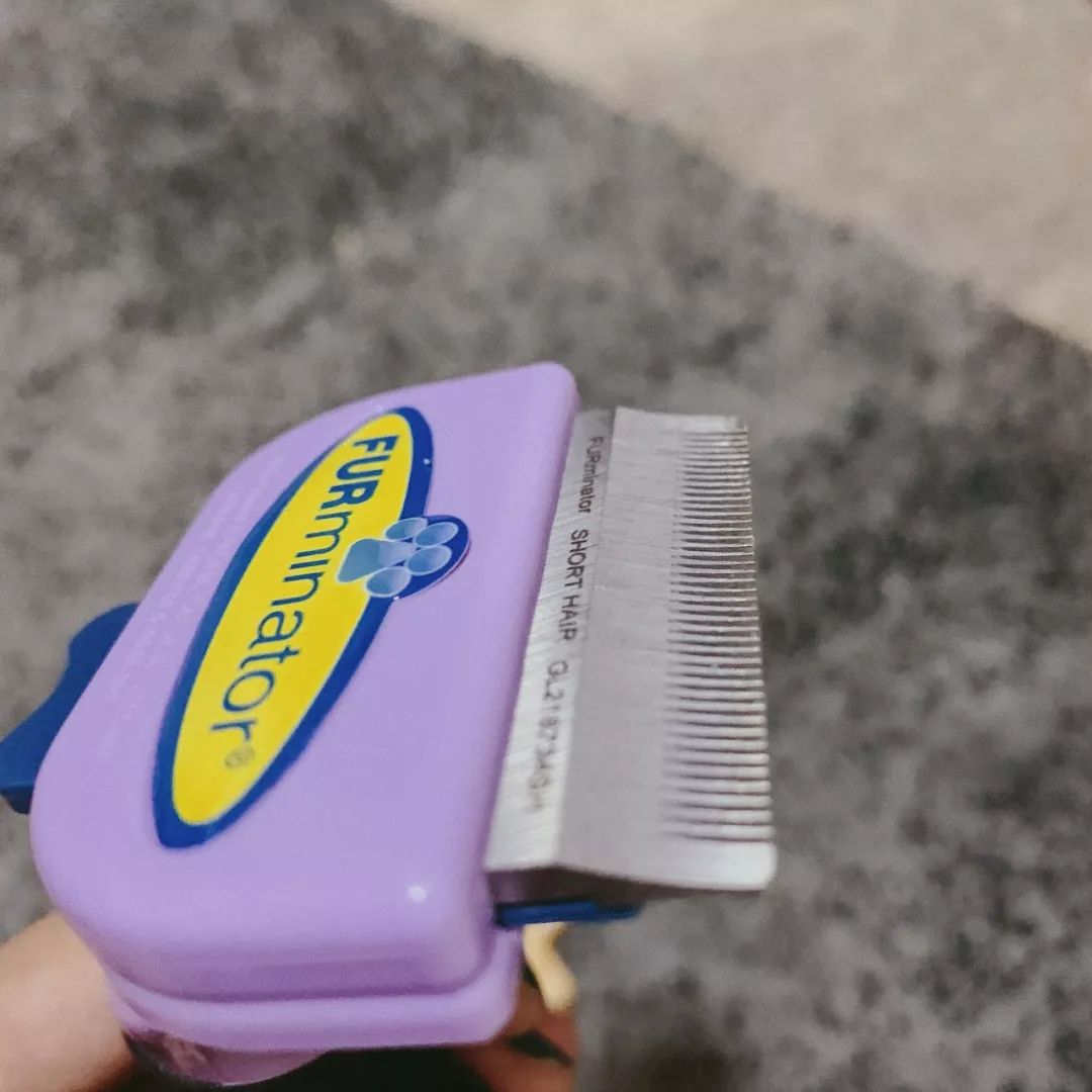 八月爱用好物,夏天爱用小物推荐