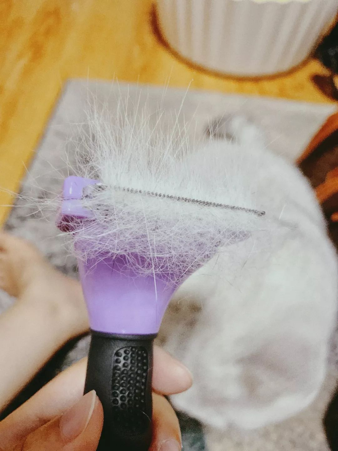 八月爱用好物,夏天爱用小物推荐