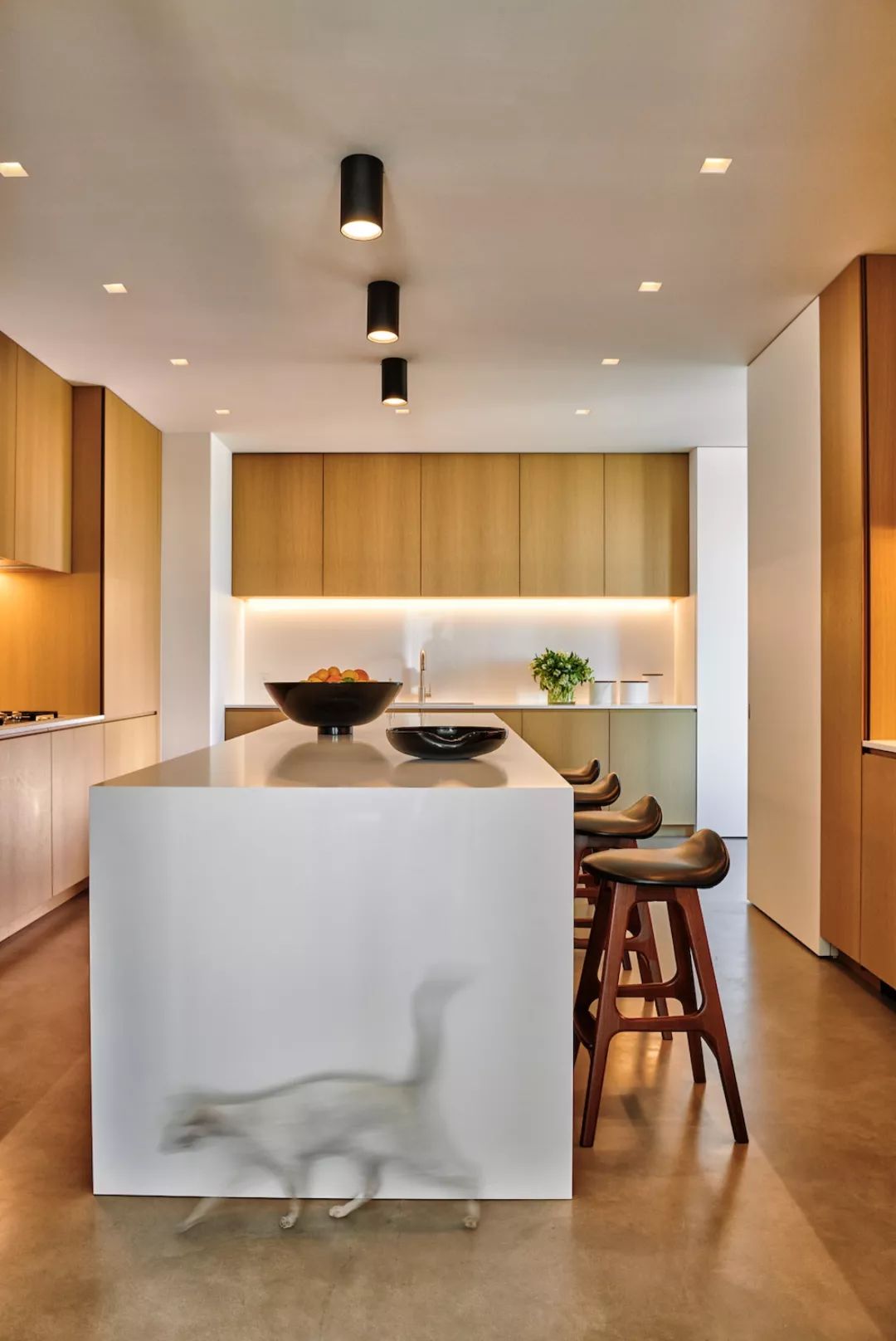 michaelkors的家,michaelkors漫步纽约