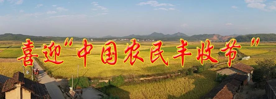 浦城最值得去的古村,浦城美丽乡村