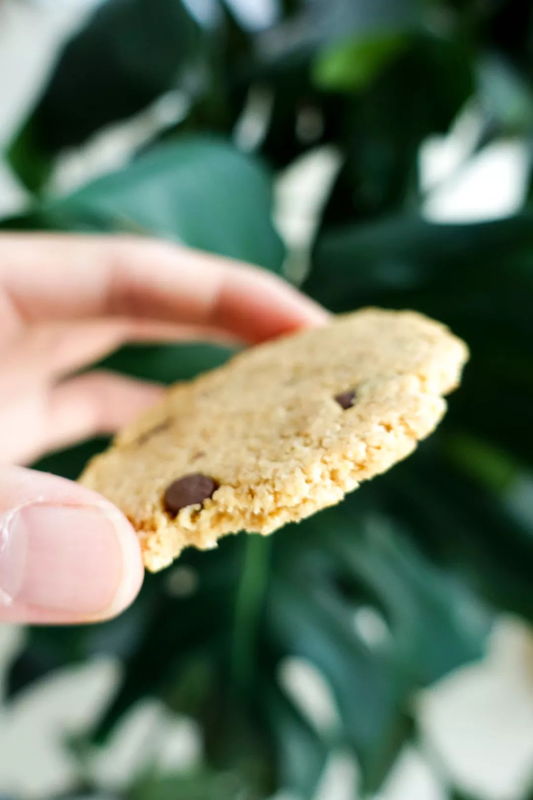 骞哥涔︾睄鎺ㄨ崘涔﹀崟,骞哥璇荤墿