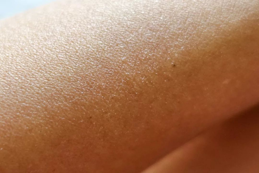 骞哥涔︾睄鎺ㄨ崘涔﹀崟,骞哥璇荤墿