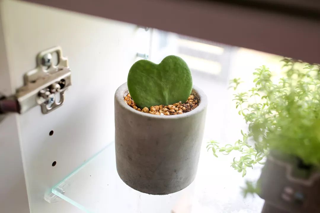 骞哥涔︾睄鎺ㄨ崘涔﹀崟,骞哥璇荤墿