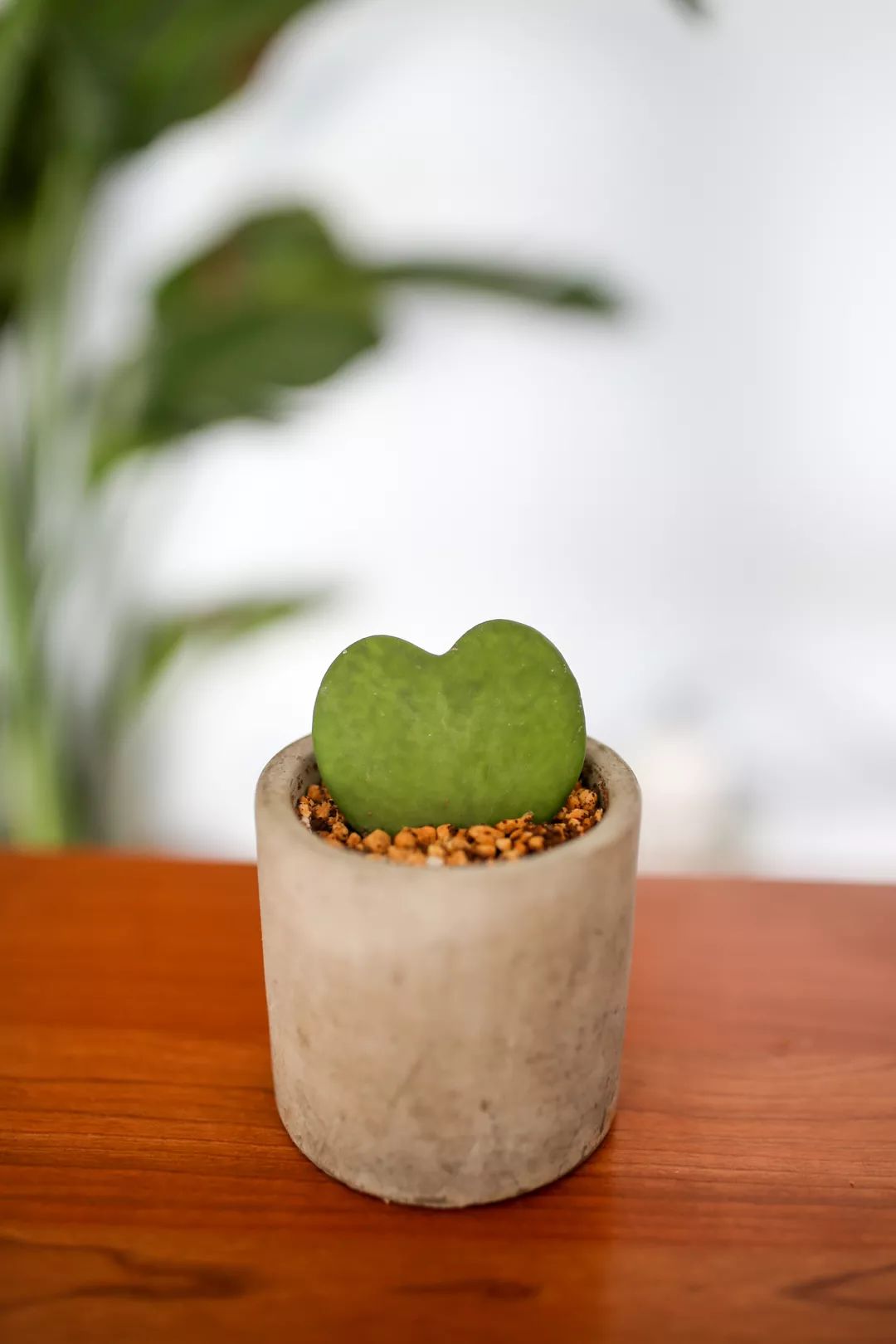 骞哥涔︾睄鎺ㄨ崘涔﹀崟,骞哥璇荤墿