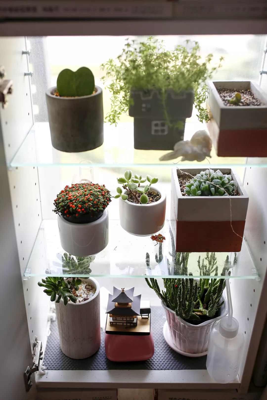 骞哥涔︾睄鎺ㄨ崘涔﹀崟,骞哥璇荤墿