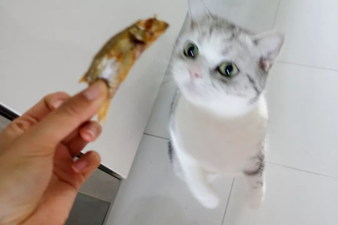 骞哥涔︾睄鎺ㄨ崘涔﹀崟,骞哥璇荤墿