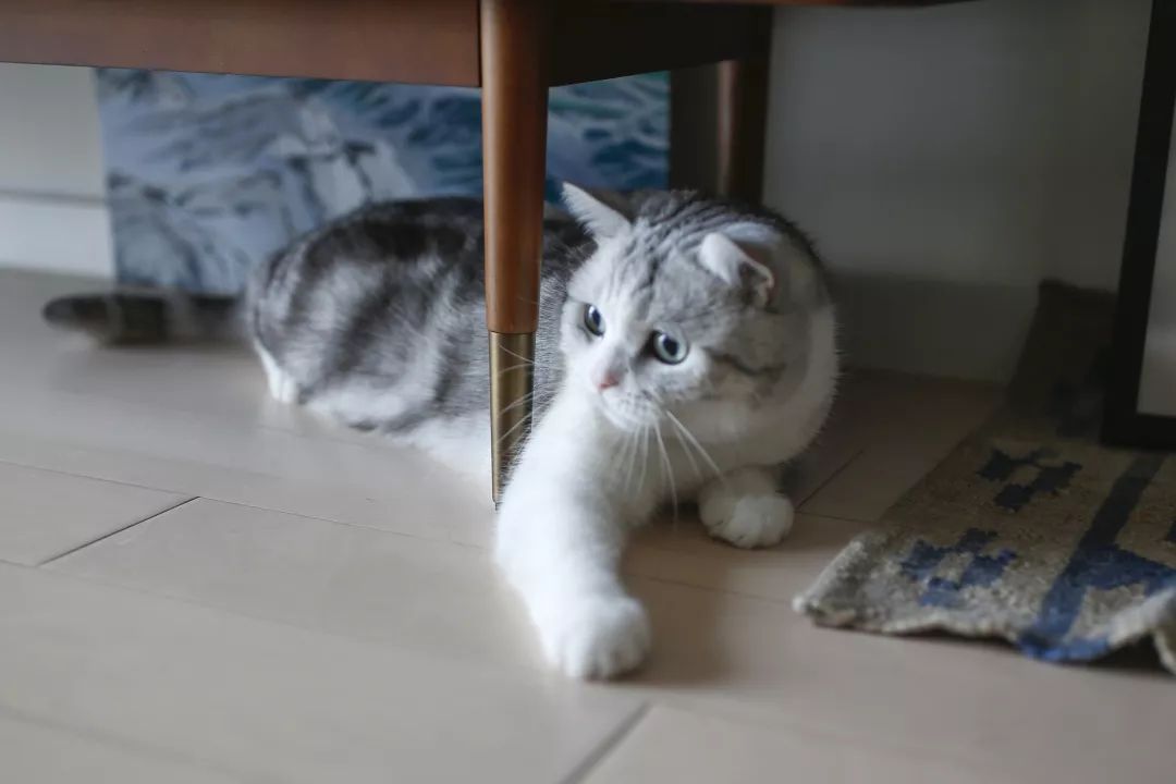 骞哥涔︾睄鎺ㄨ崘涔﹀崟,骞哥璇荤墿