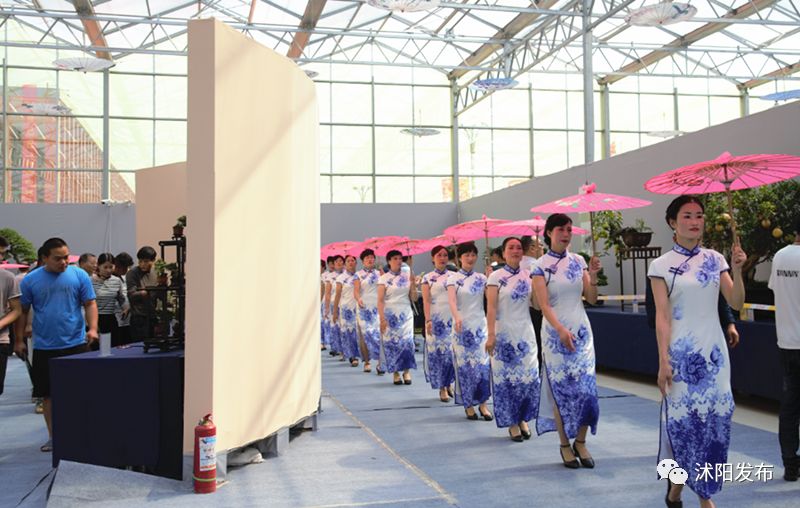 娌槼鏃呮父璺嚎鎺ㄨ崘,姹熻嫃娌槼鏃呮父鏀荤暐璺嚎