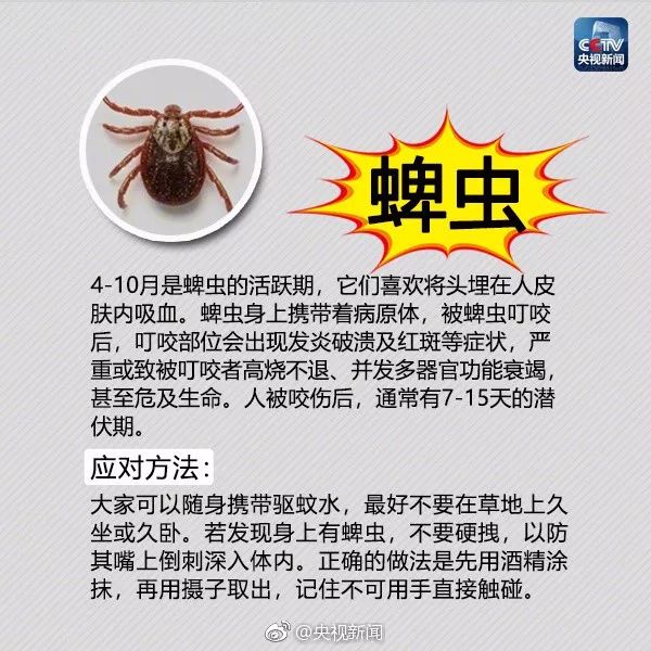 警惕！博白一男子被红火蚁咬了一口，全身浮肿险休克