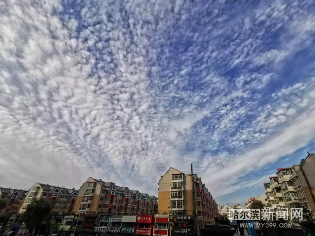 “玲玲”台风雨将至，哈尔滨东部7日有暴雨｜盘点近年来影响我们的台风（外围云系），它们是如何暗戳戳骚扰我们的